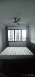 Normanton Park (D5), Apartment #425074471